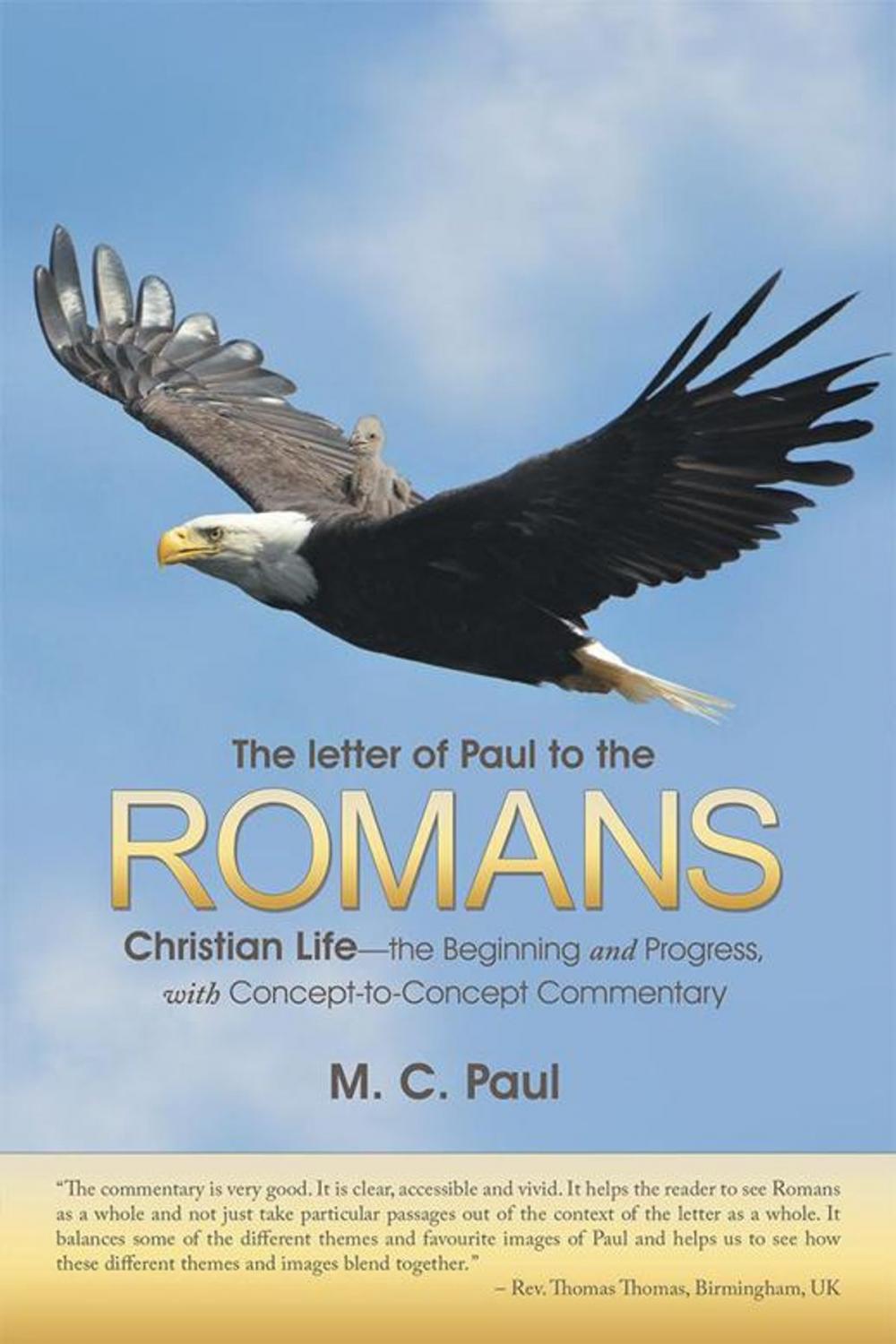 Big bigCover of The Letter of Paul to the Romans