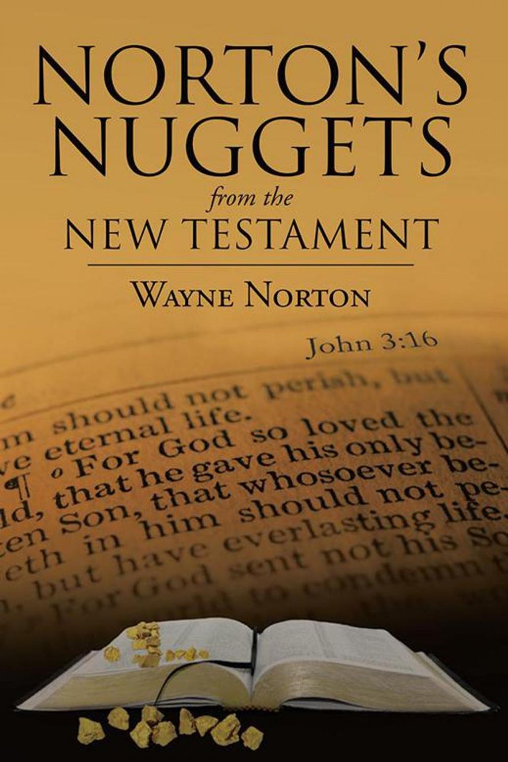 Big bigCover of Norton's Nuggets from the New Testament