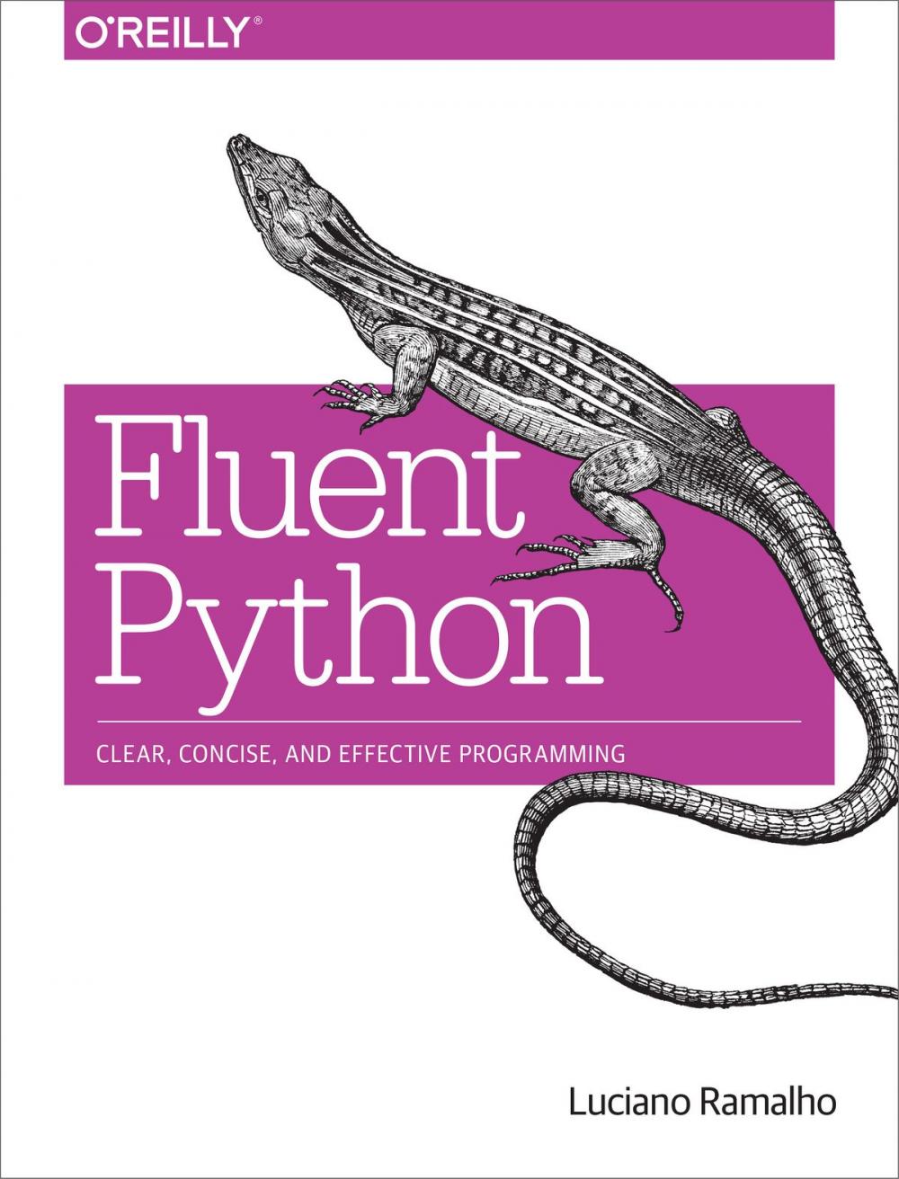 Big bigCover of Fluent Python