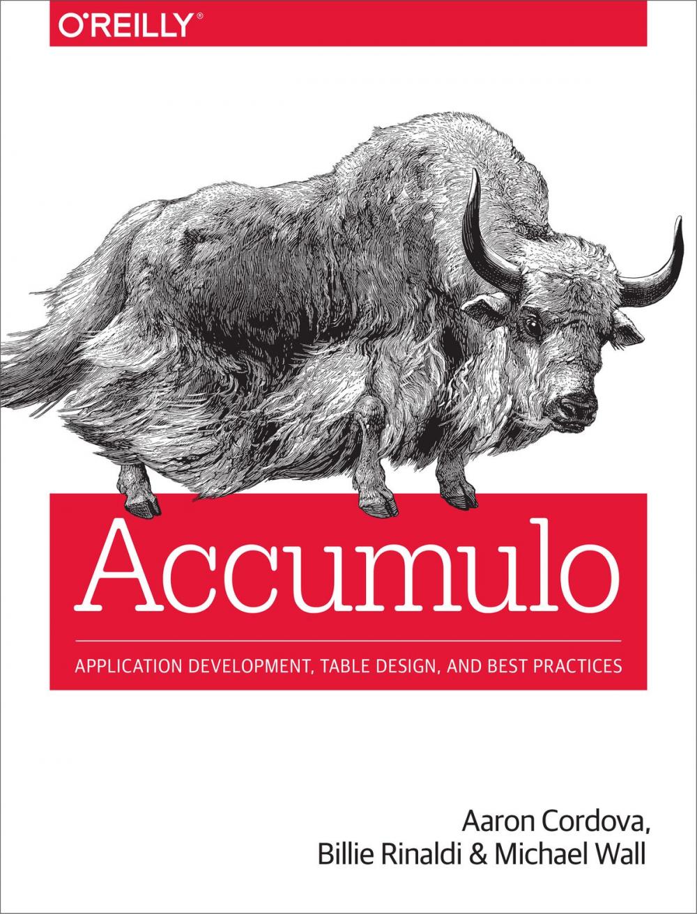 Big bigCover of Accumulo