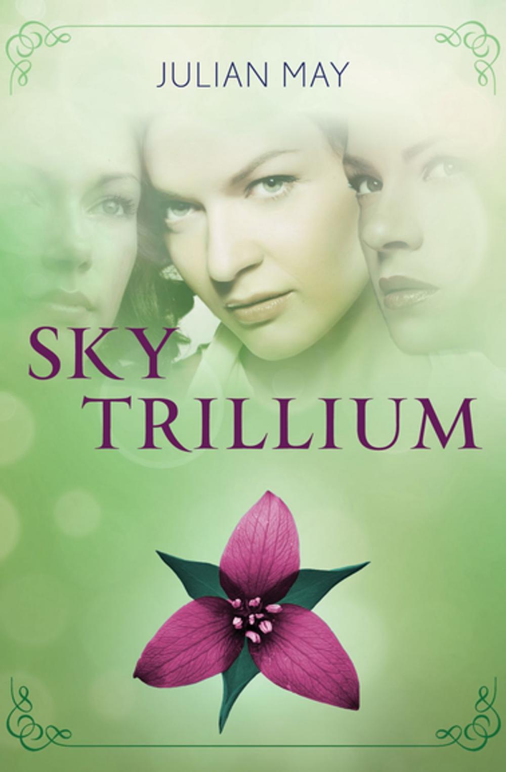 Big bigCover of Sky Trillium