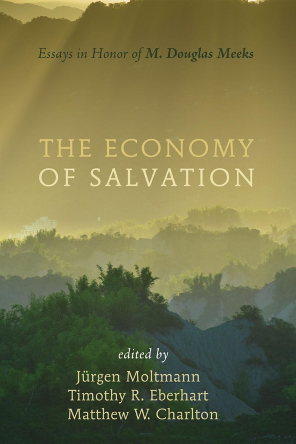 Big bigCover of The Economy of Salvation