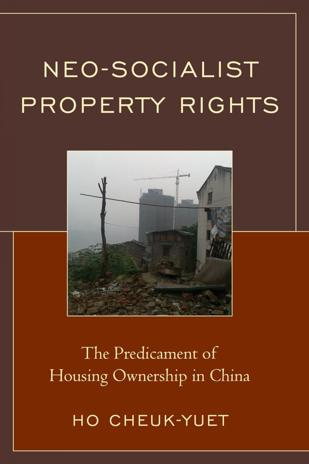 Big bigCover of Neo-Socialist Property Rights