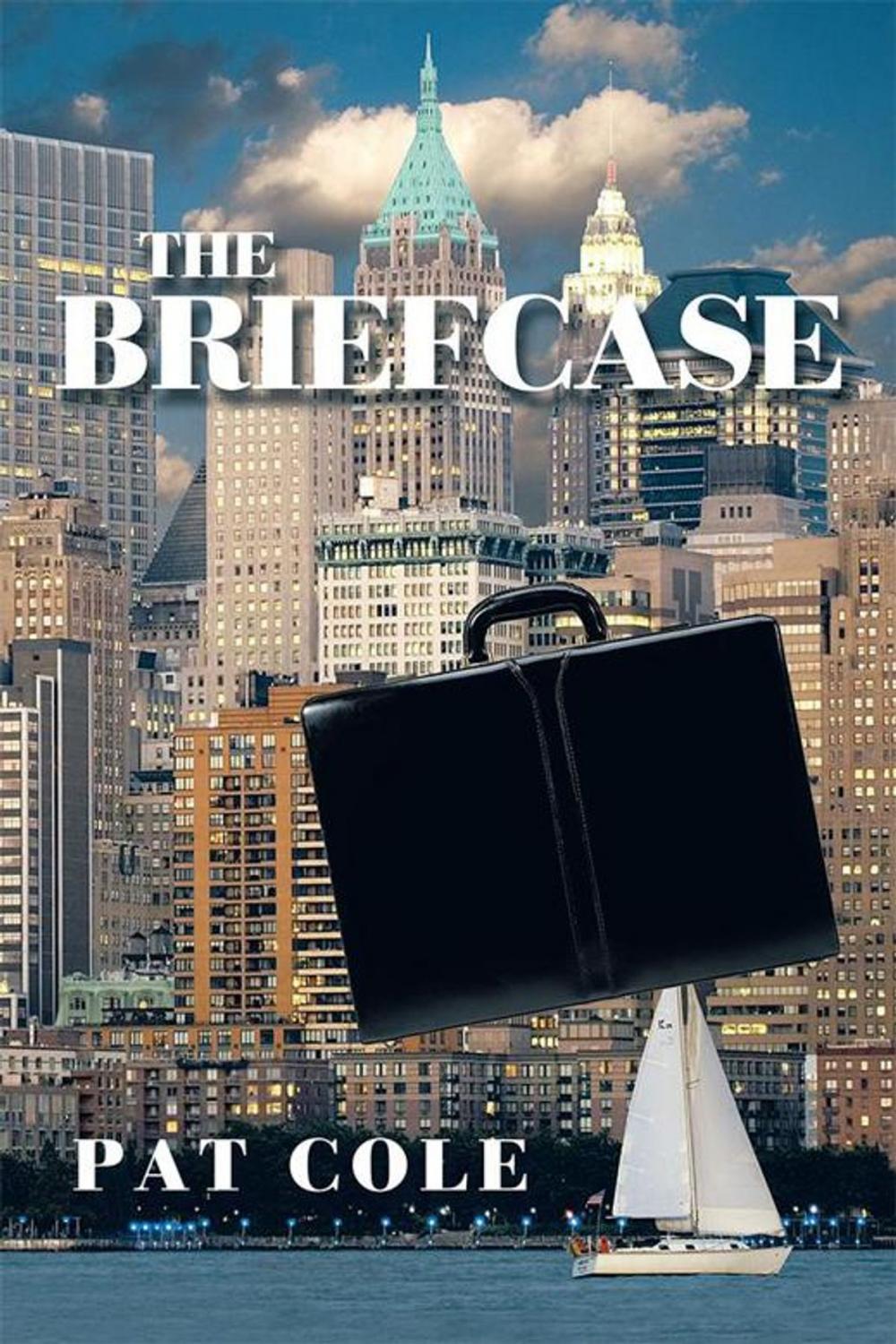 Big bigCover of The Briefcase