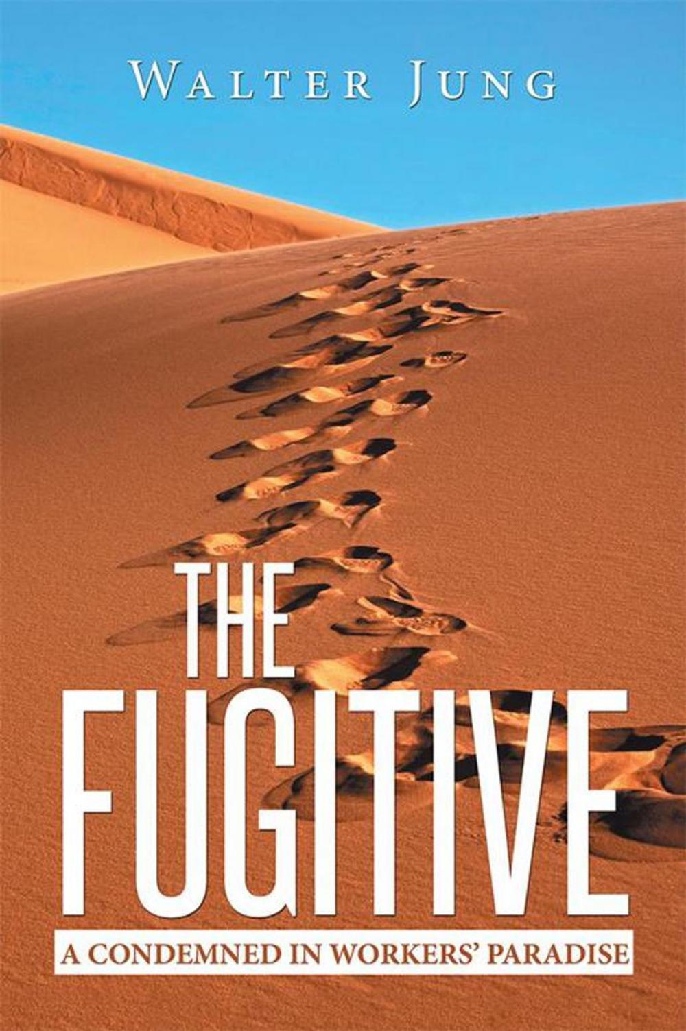 Big bigCover of The Fugitive