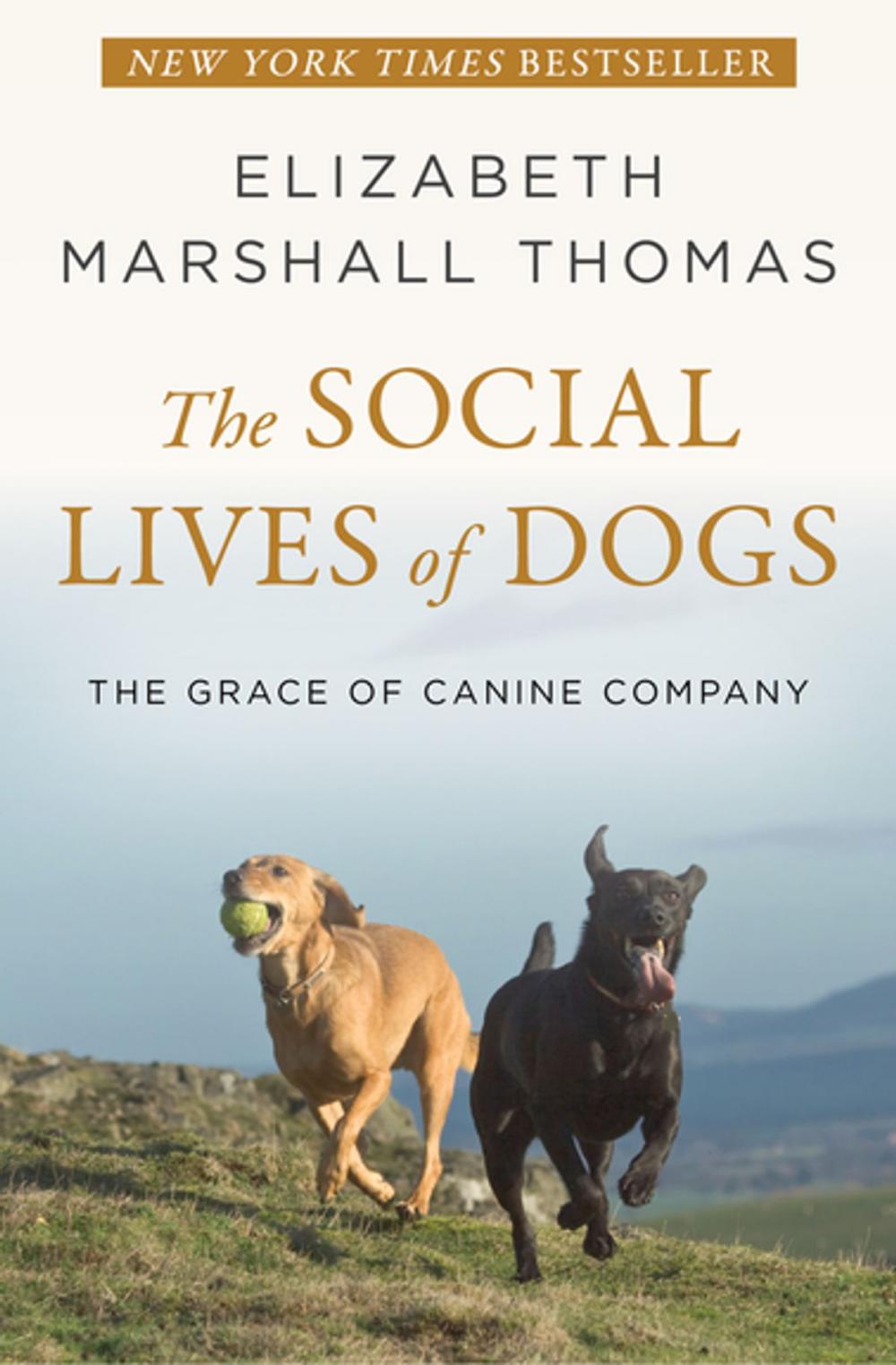 Big bigCover of The Social Lives of Dogs