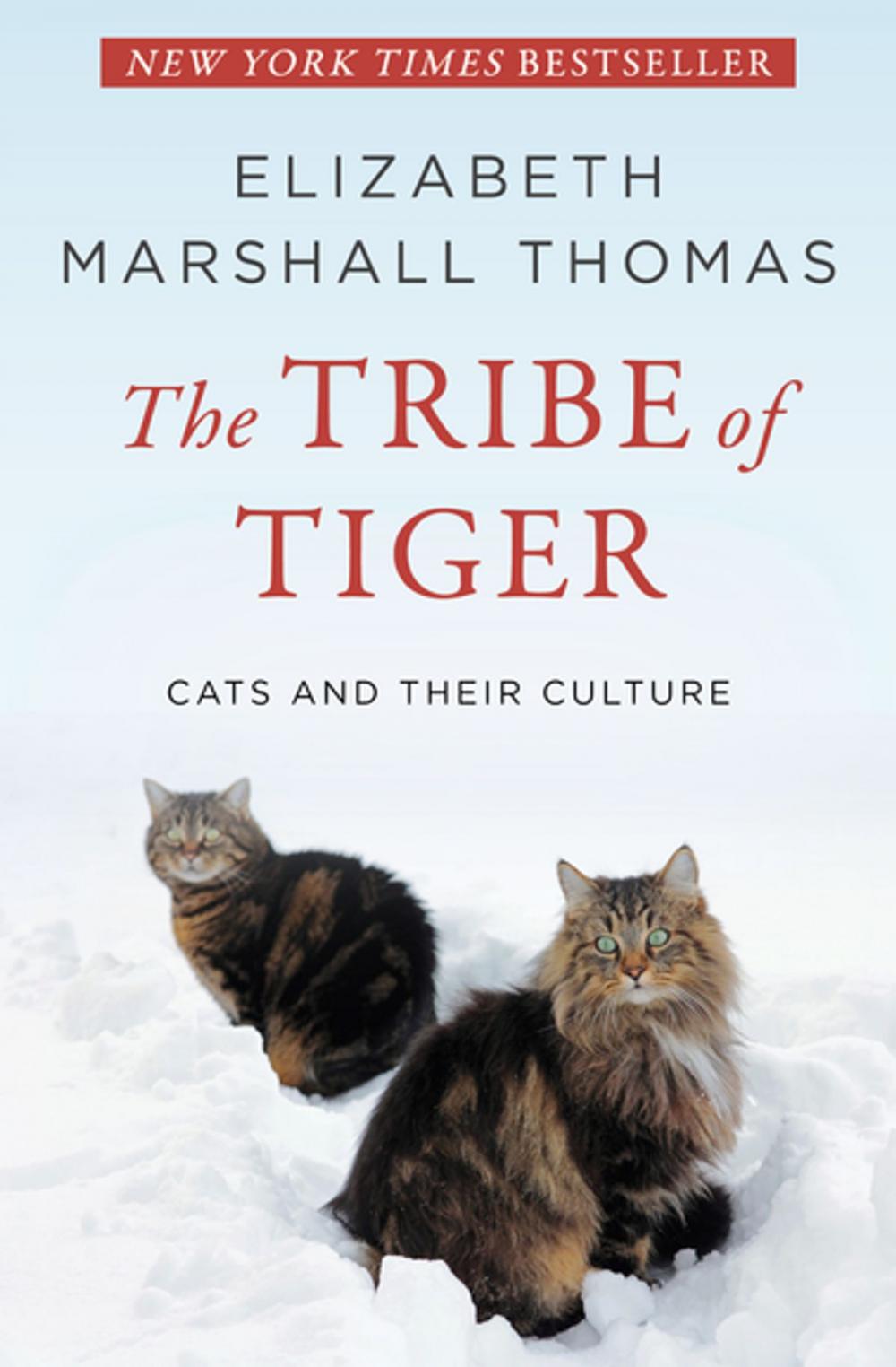 Big bigCover of The Tribe of Tiger