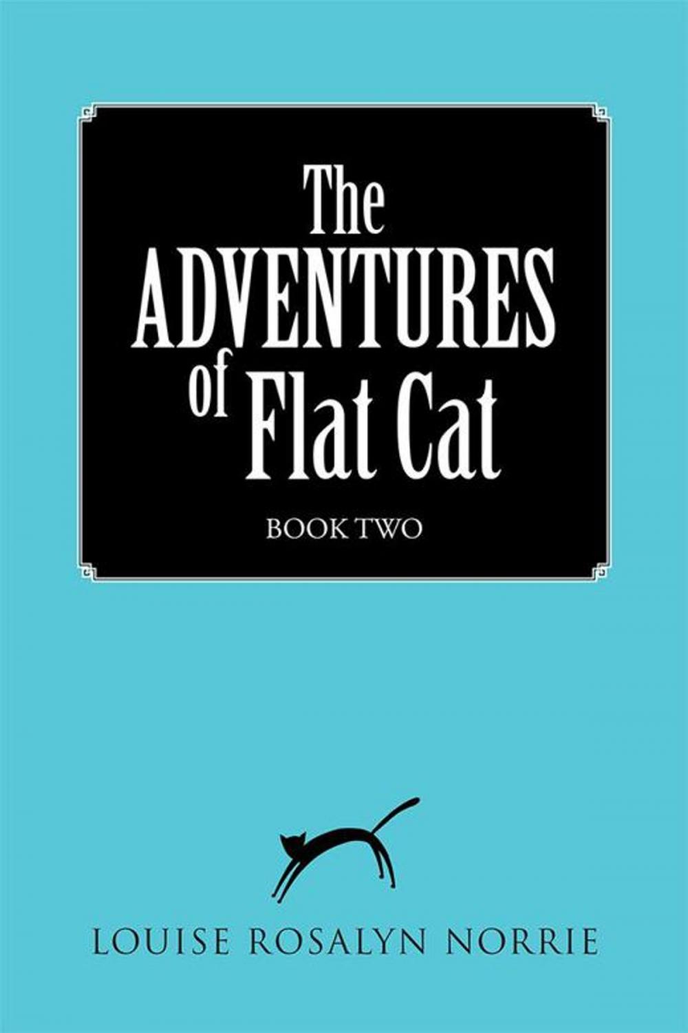 Big bigCover of The Adventures of Flat Cat