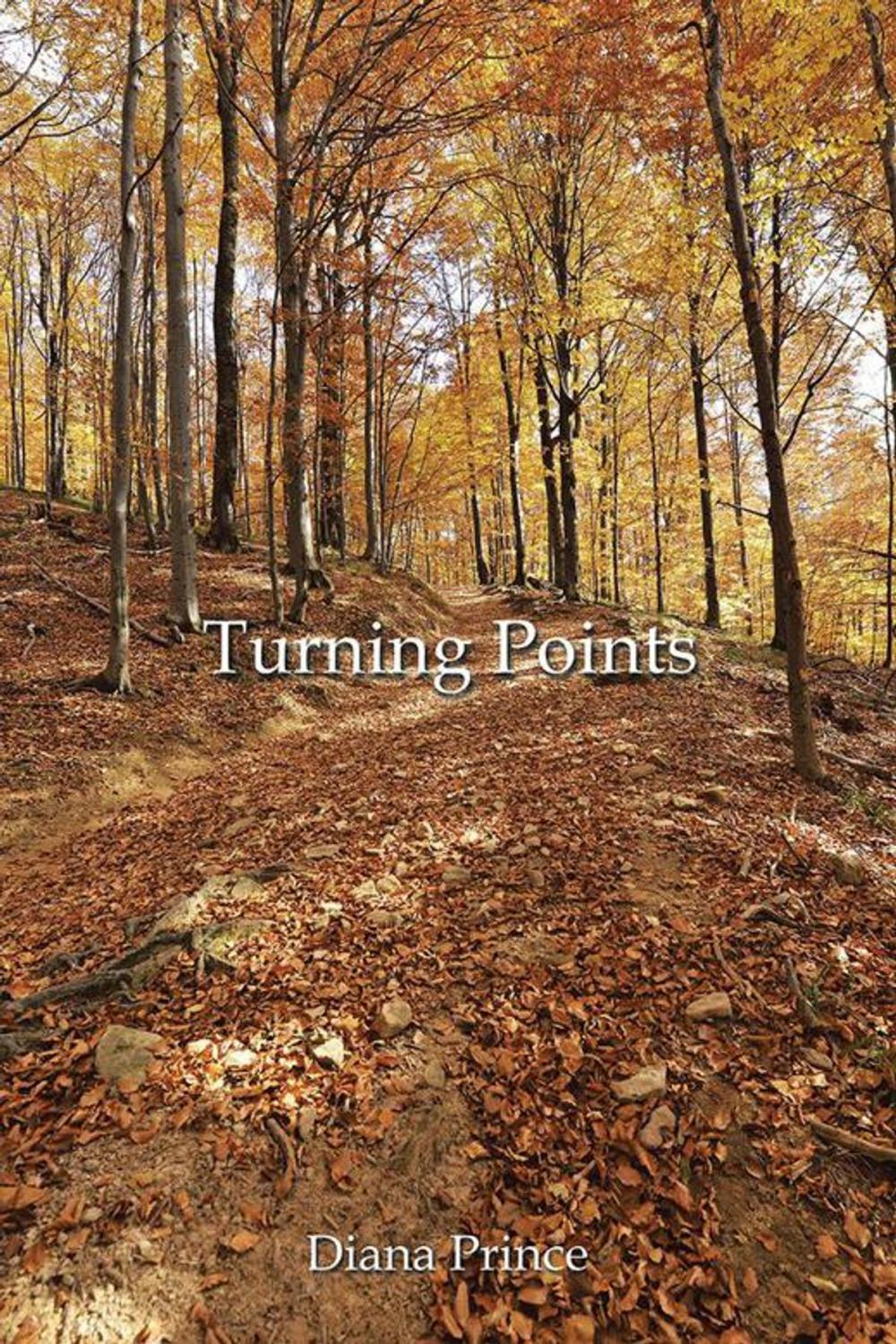 Big bigCover of Turning Points