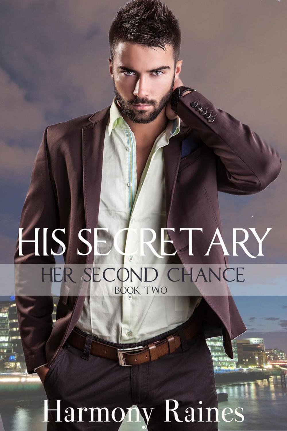 Big bigCover of His Secretary