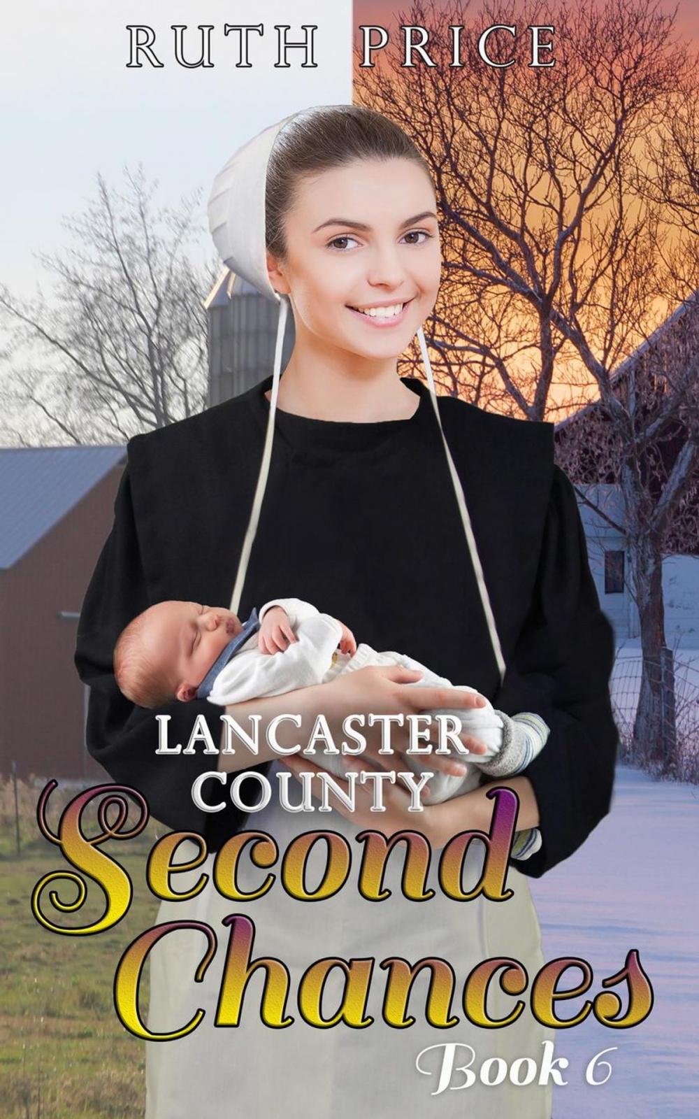 Big bigCover of Lancaster County Second Chances 6