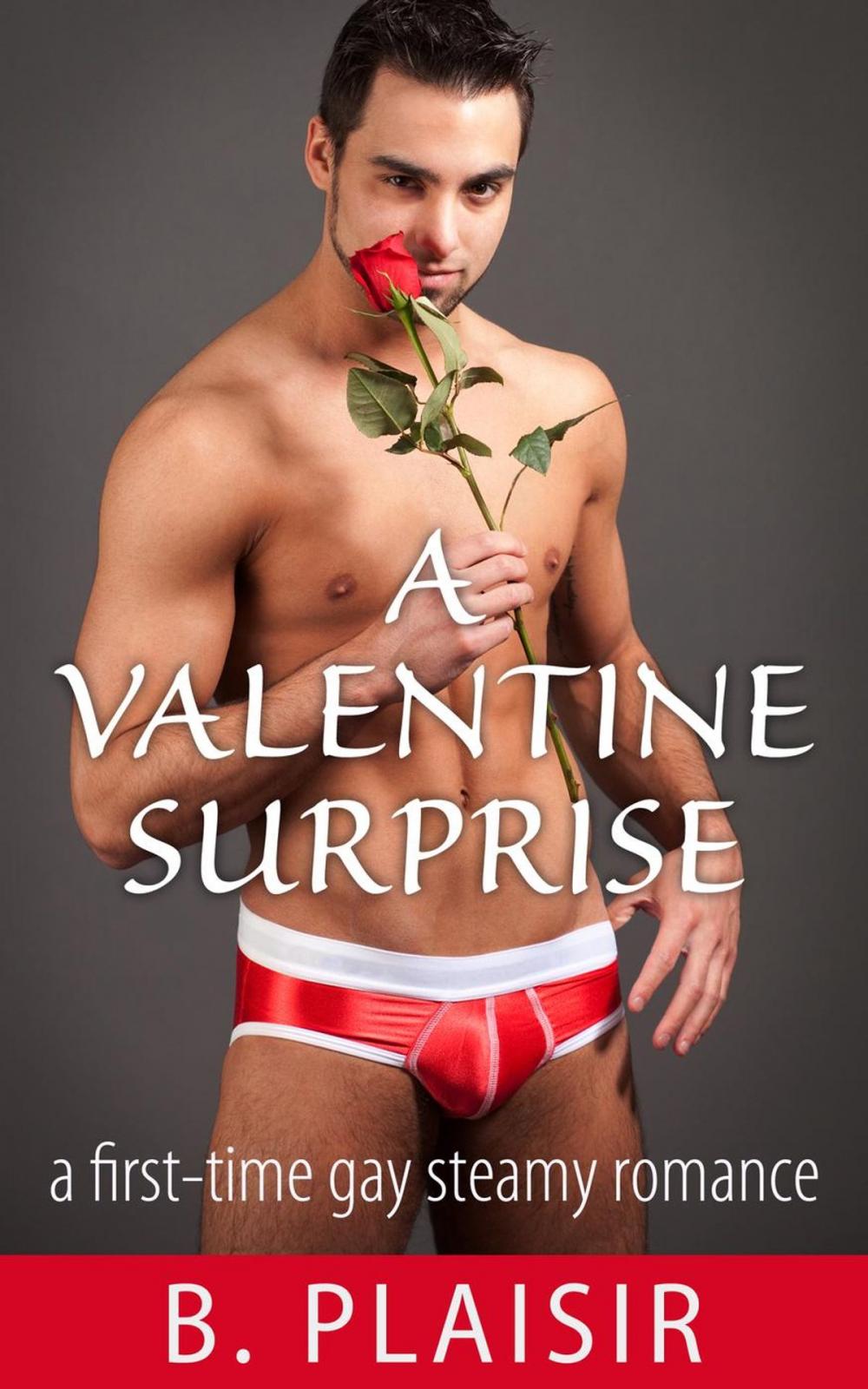 Big bigCover of A Valentine Surprise