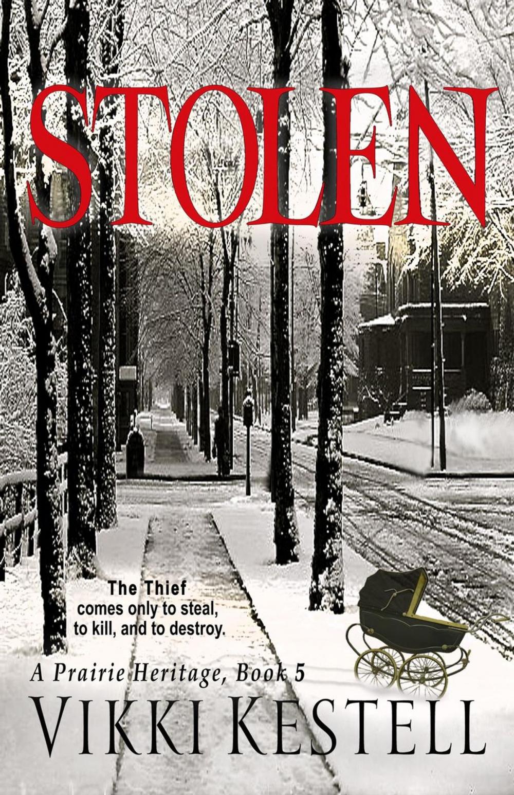 Big bigCover of Stolen