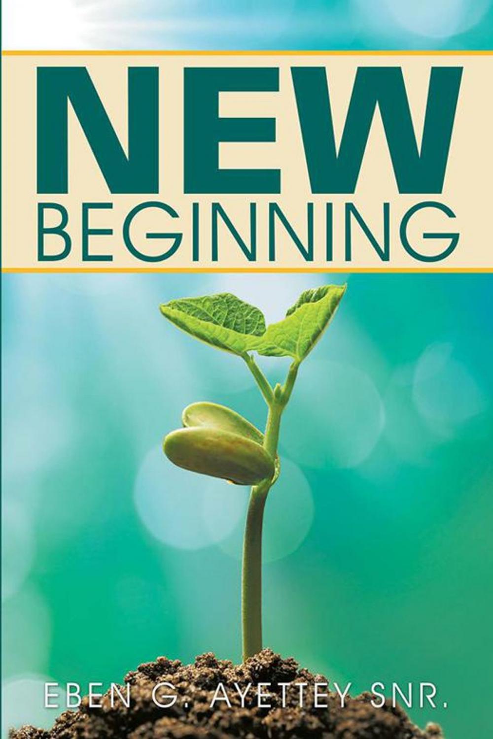 Big bigCover of New Beginning