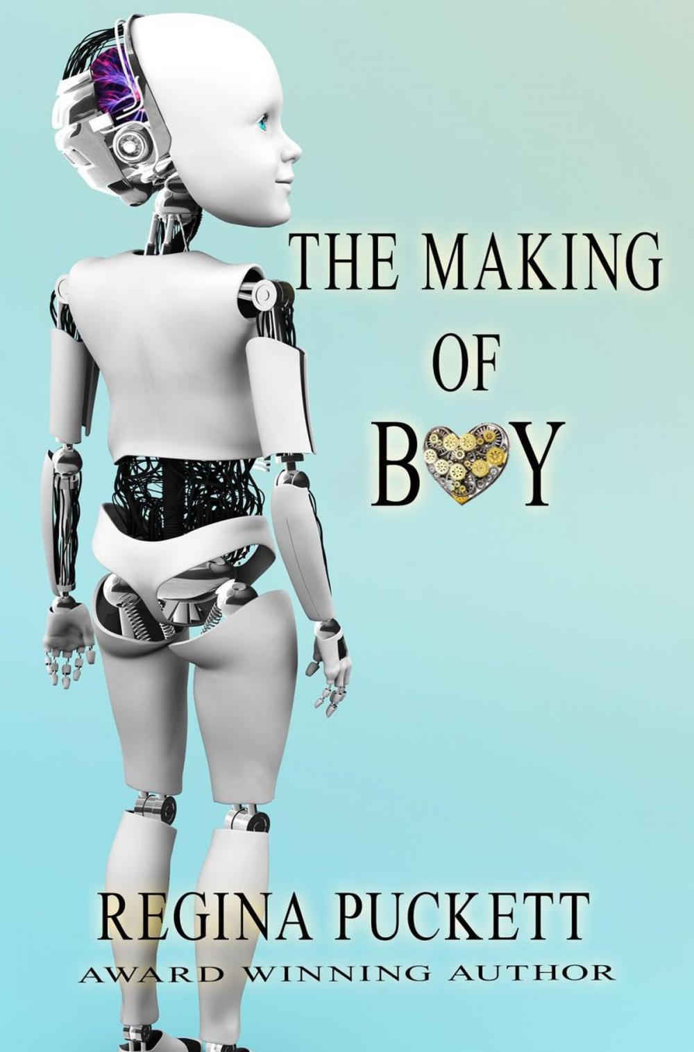 Big bigCover of The Making of Boy