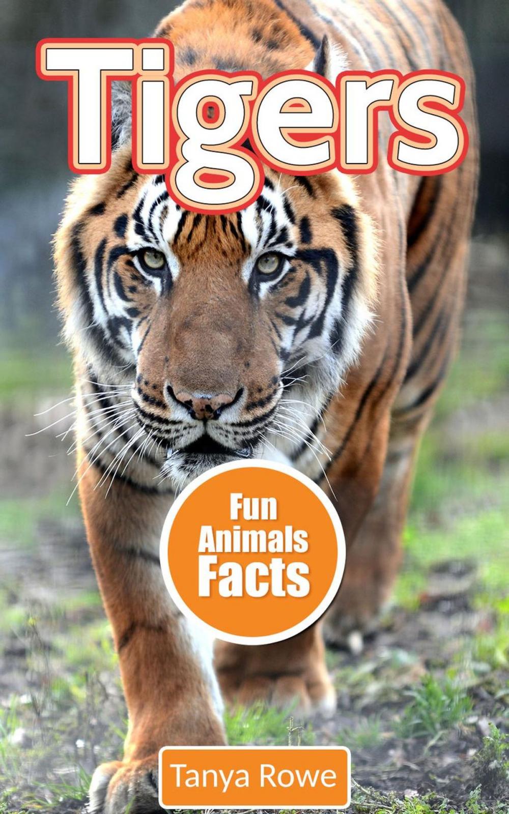 Big bigCover of Tigers