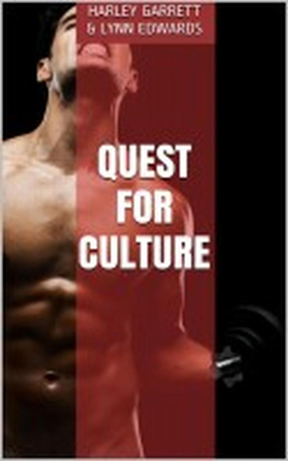 Big bigCover of Quest for Culture