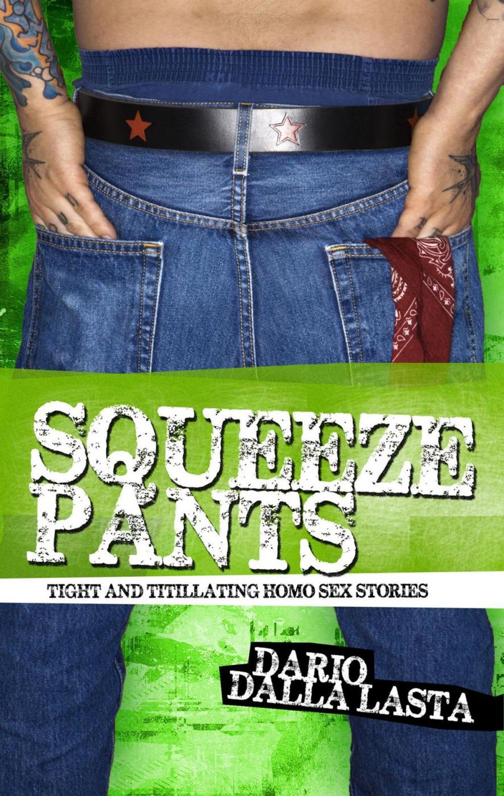 Big bigCover of Squeeze Pants: Tight and Titillating Homo Sex Stories