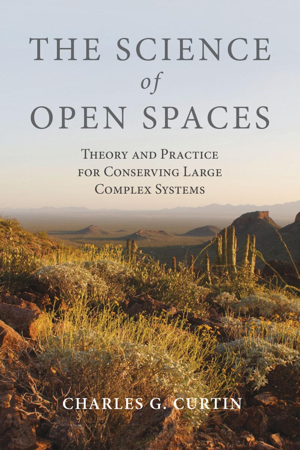 Big bigCover of The Science of Open Spaces