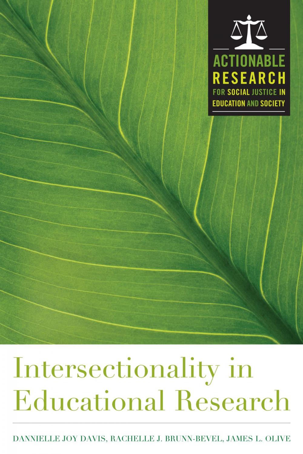 Big bigCover of Intersectionality in Educational Research