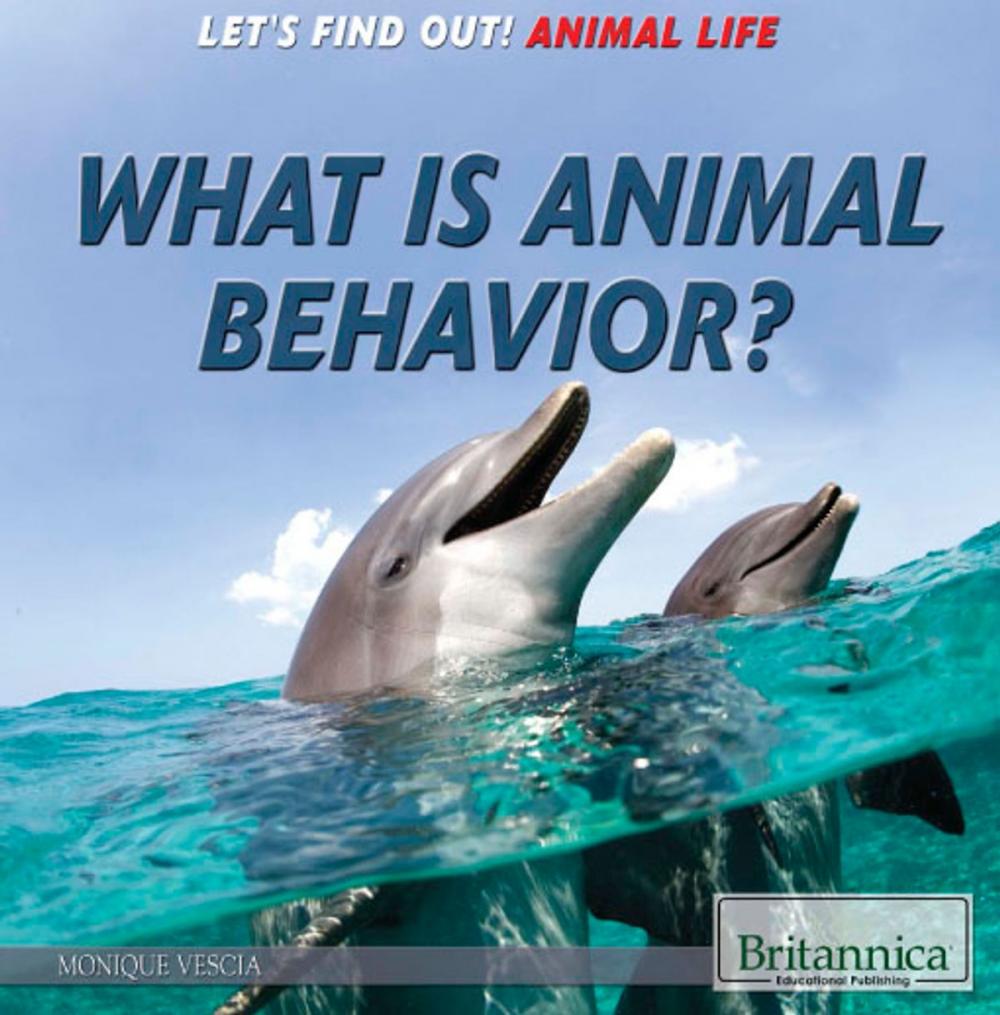 Big bigCover of What Is Animal Behavior?