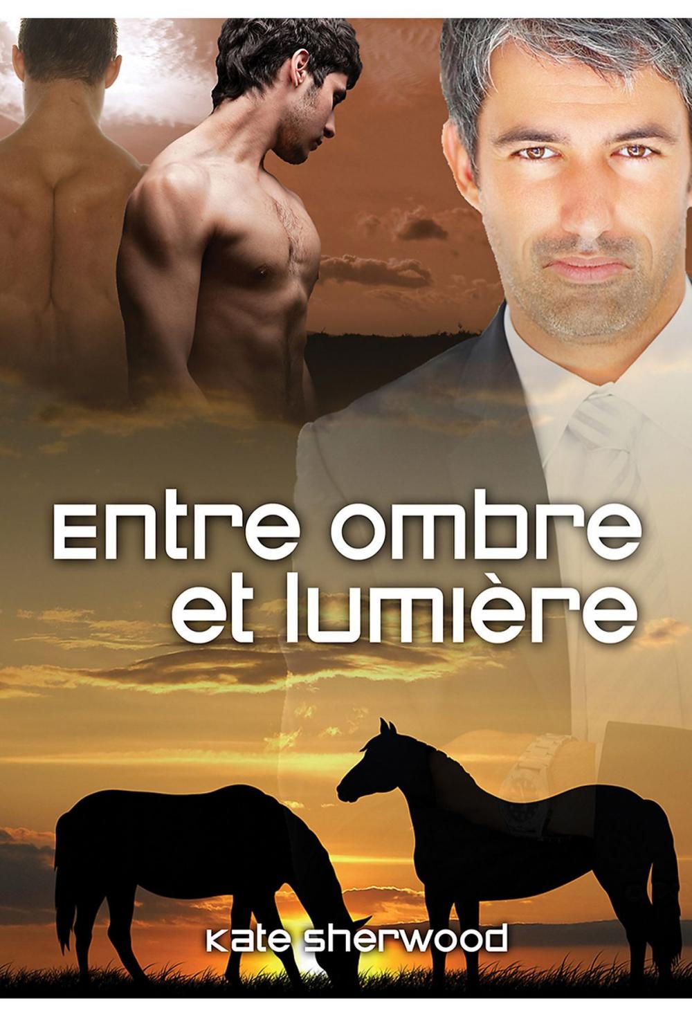 Big bigCover of Entre ombre et lumière