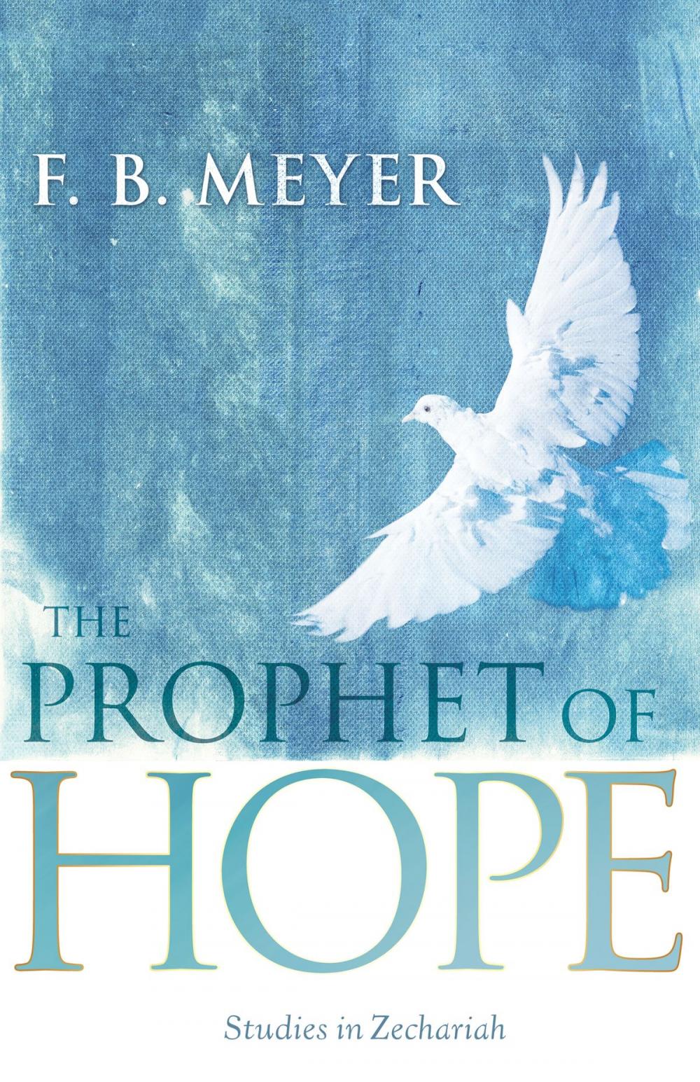 Big bigCover of The Prophet of Hope