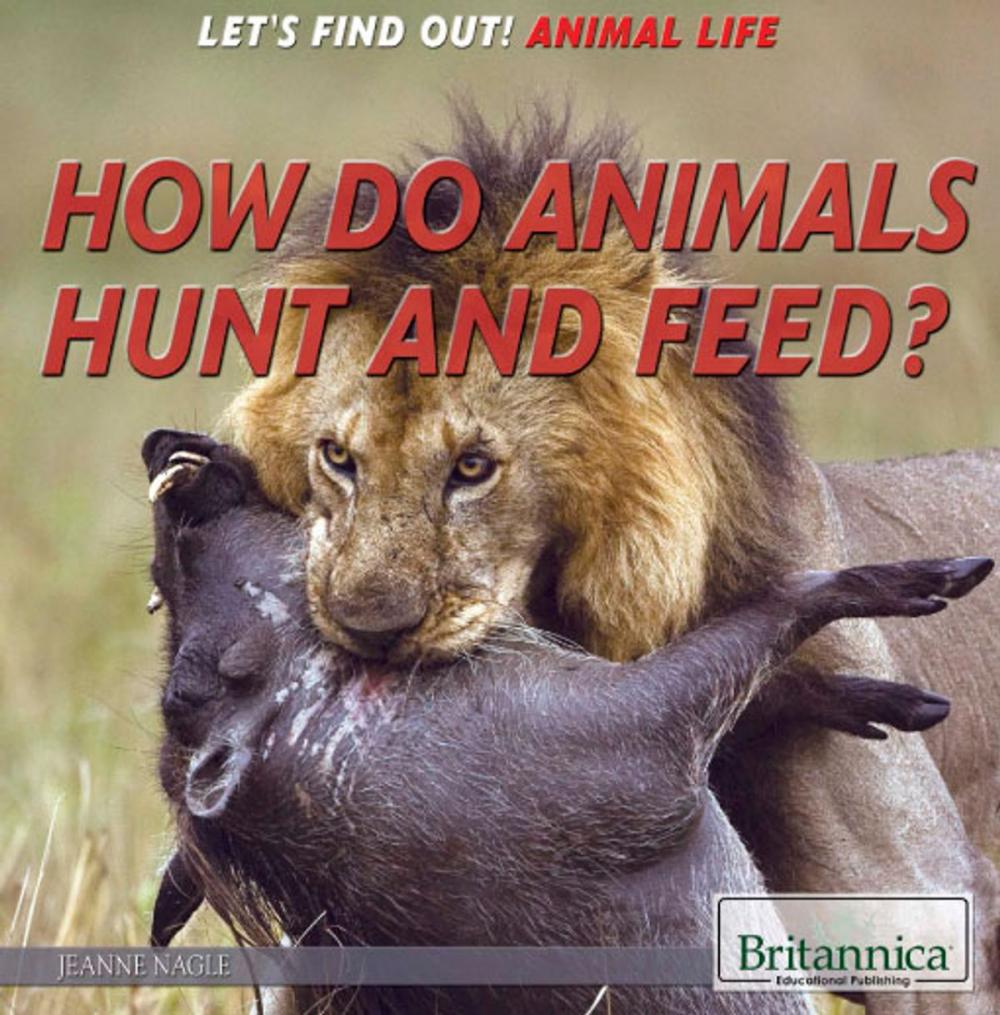 Big bigCover of How Do Animals Hunt and Feed?