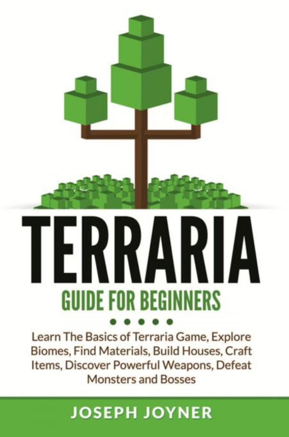 Big bigCover of Terraria Guide For Beginners