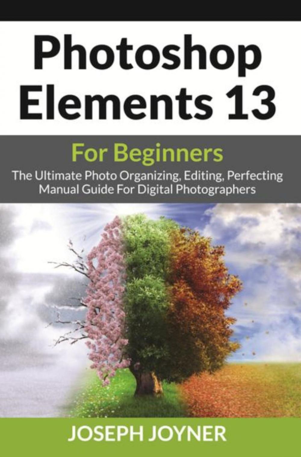 Big bigCover of Photoshop Elements 13 For Beginners