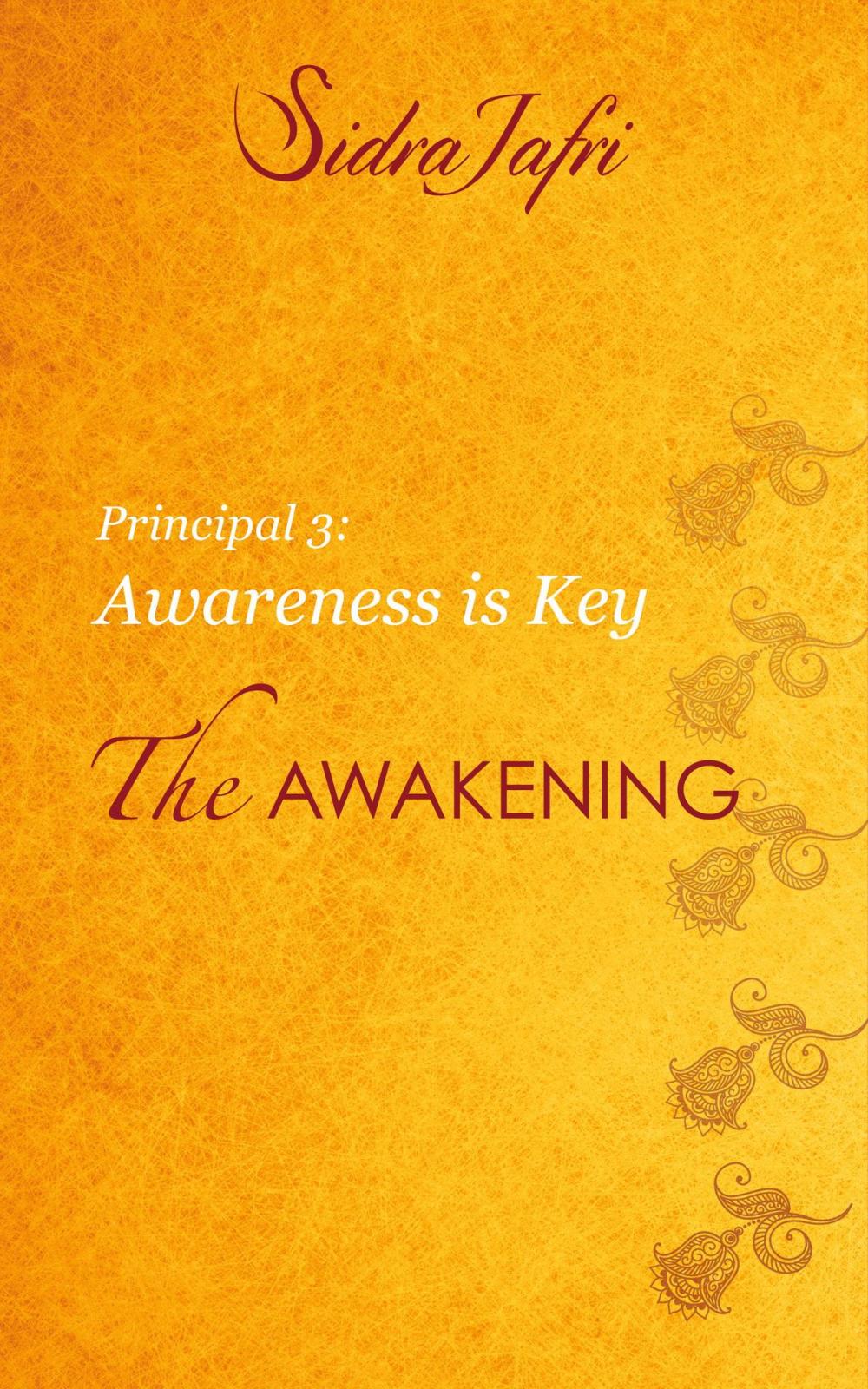 Big bigCover of Awareness Is Key