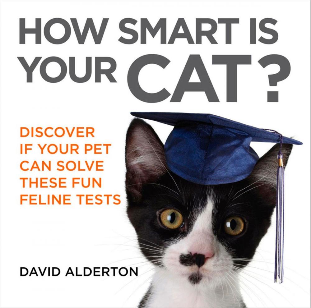 Big bigCover of How Smart Is Your Cat?