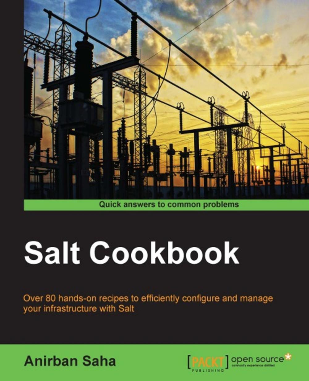 Big bigCover of Salt Cookbook