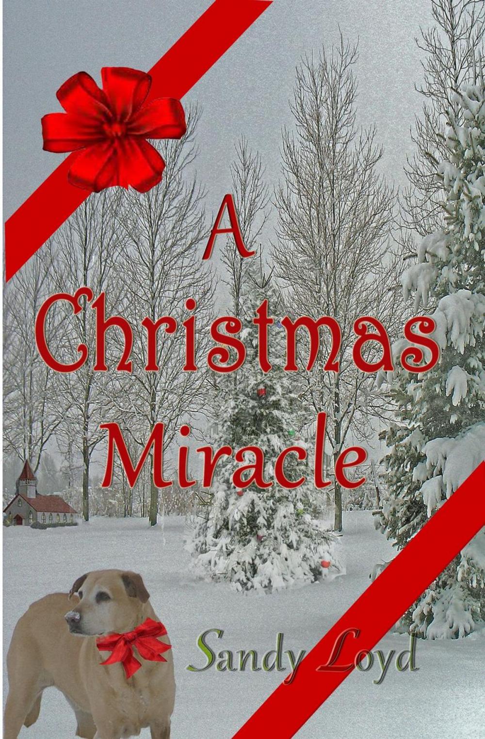 Big bigCover of A Christmas Miracle