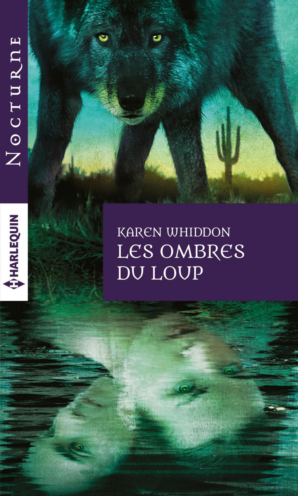 Big bigCover of Les ombres du loup