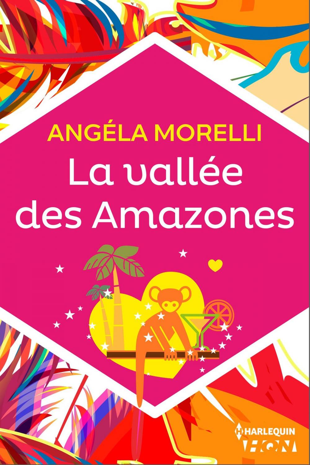 Big bigCover of La vallée des Amazones