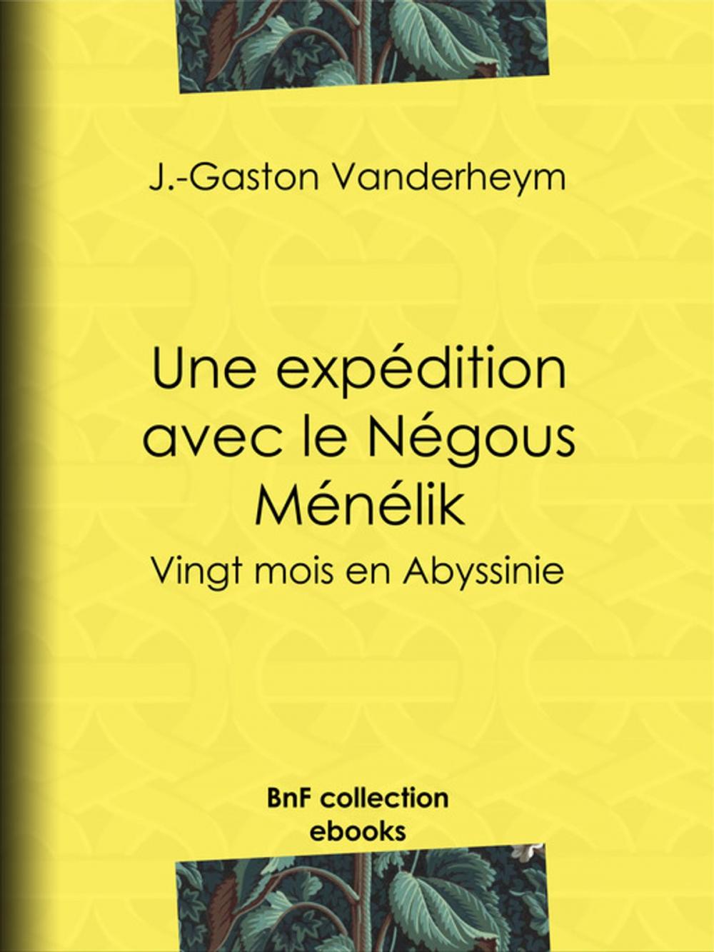 Big bigCover of Une expédition avec le Négous Ménélik