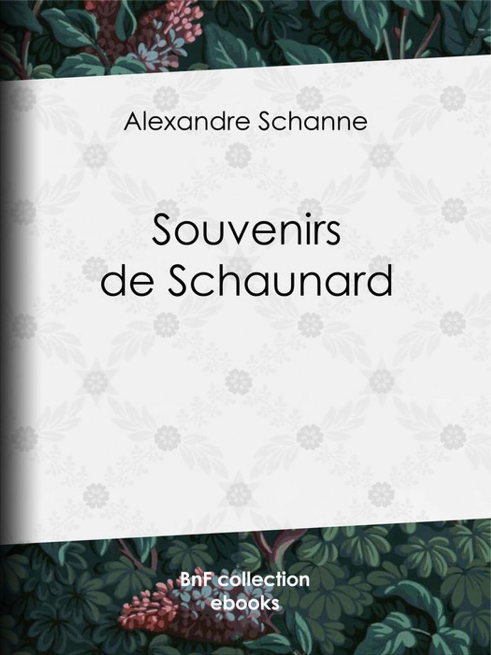 Big bigCover of Souvenirs de Schaunard