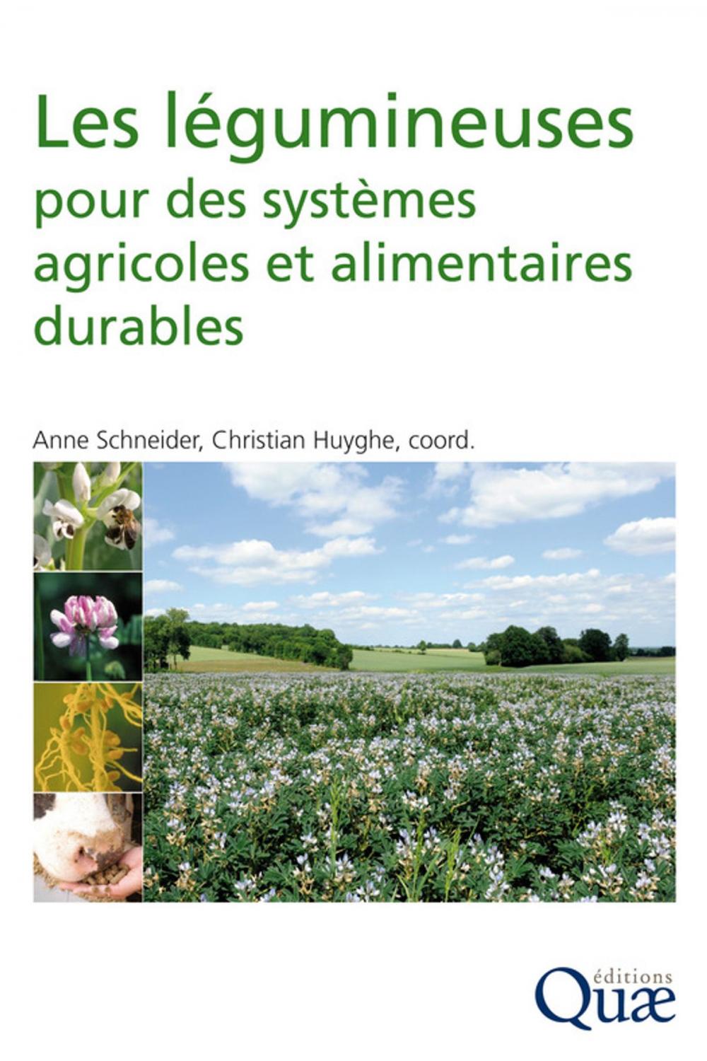 Big bigCover of Les légumineuses pour des systèmes agricoles et alimentaires durables