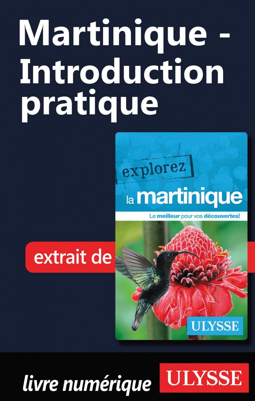 Big bigCover of Martinique - Introduction pratique