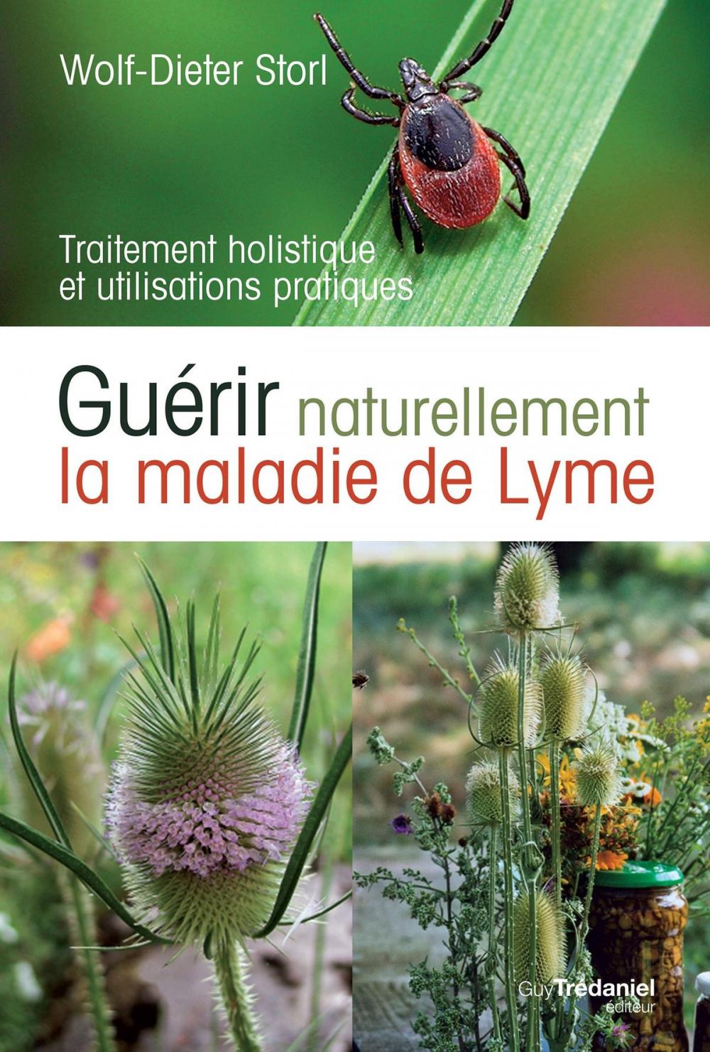 Big bigCover of Guérir naturellement la maladie de lyme