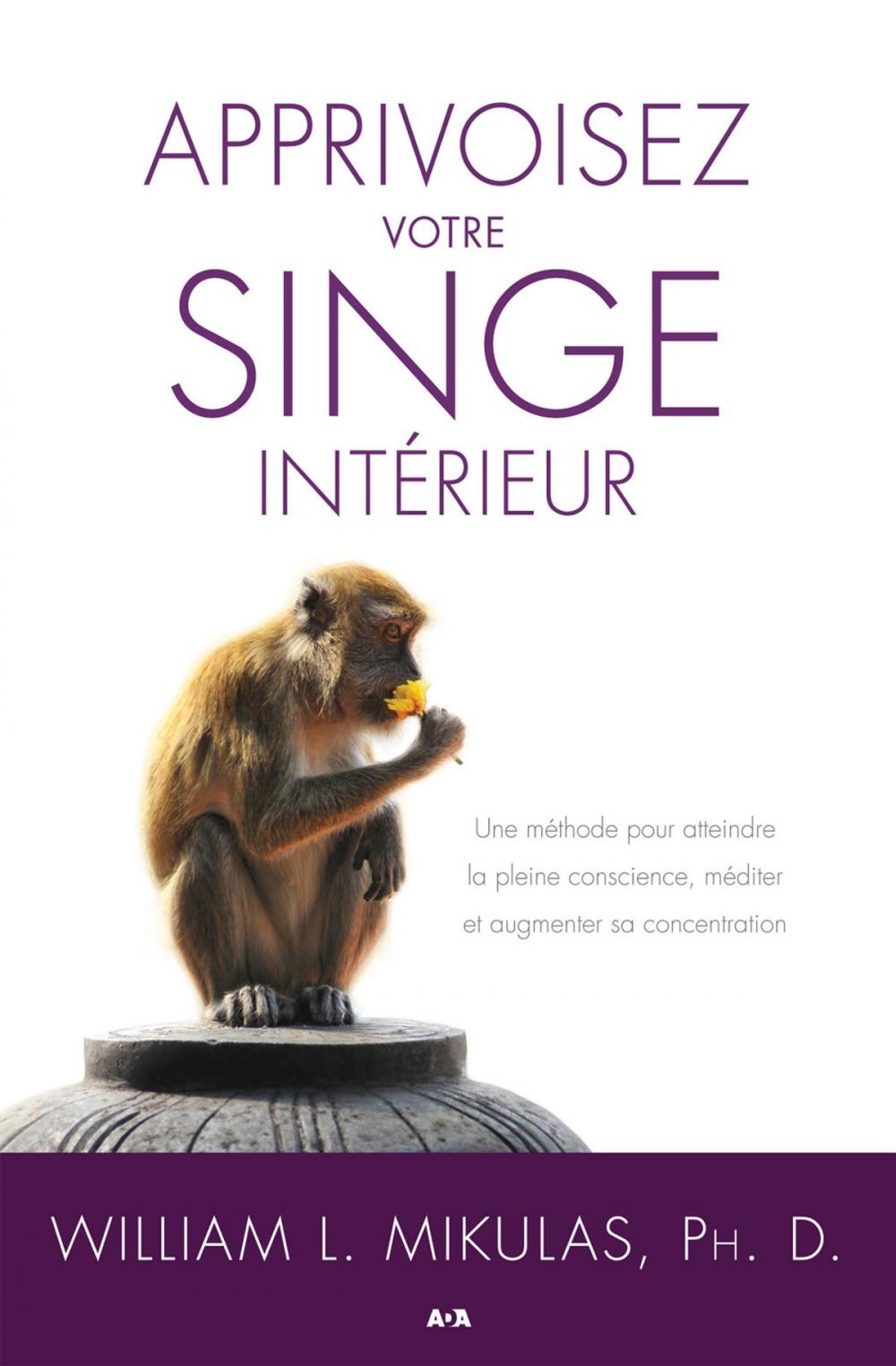 Big bigCover of Apprivoisez votre singe intérieur