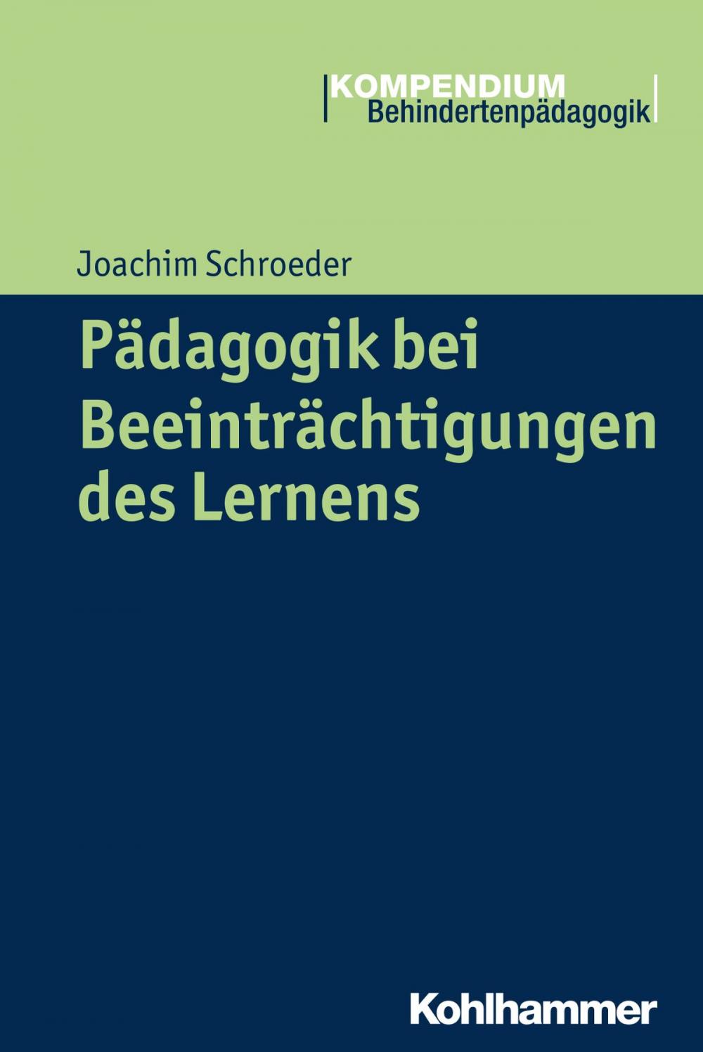 Big bigCover of Pädagogik bei Beeinträchtigungen des Lernens