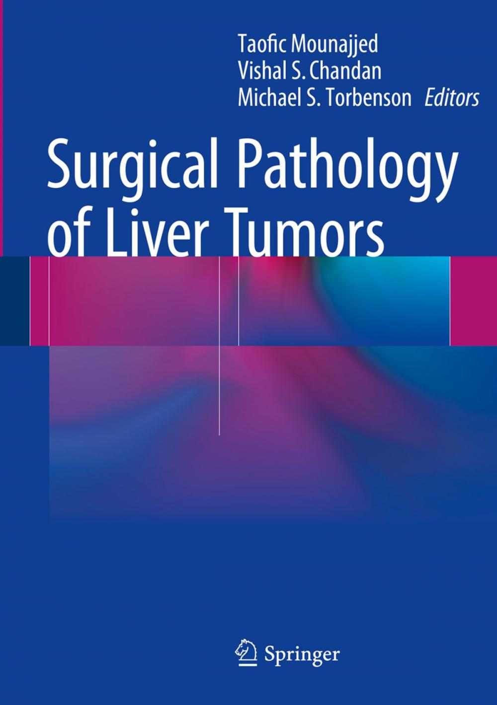 Big bigCover of Surgical Pathology of Liver Tumors