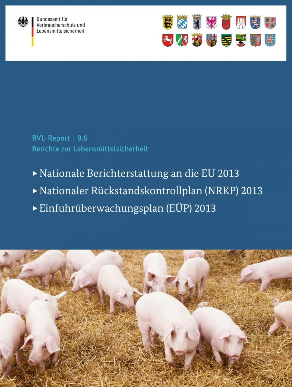 Big bigCover of Berichte zur Lebensmittelsicherheit 2013