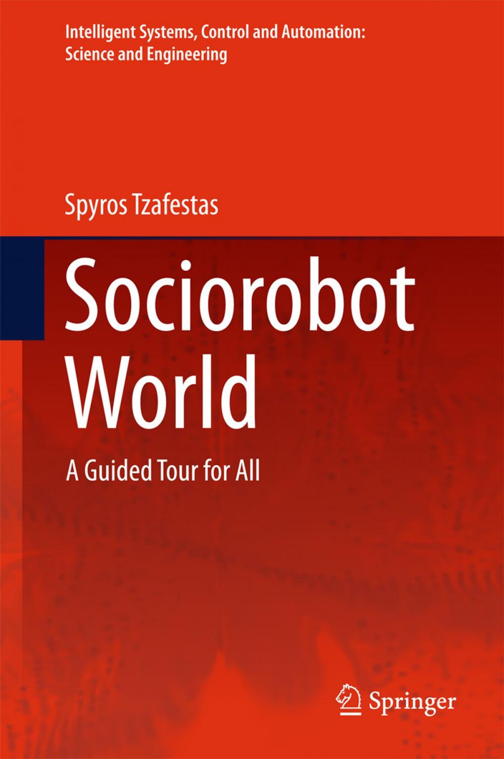 Big bigCover of Sociorobot World