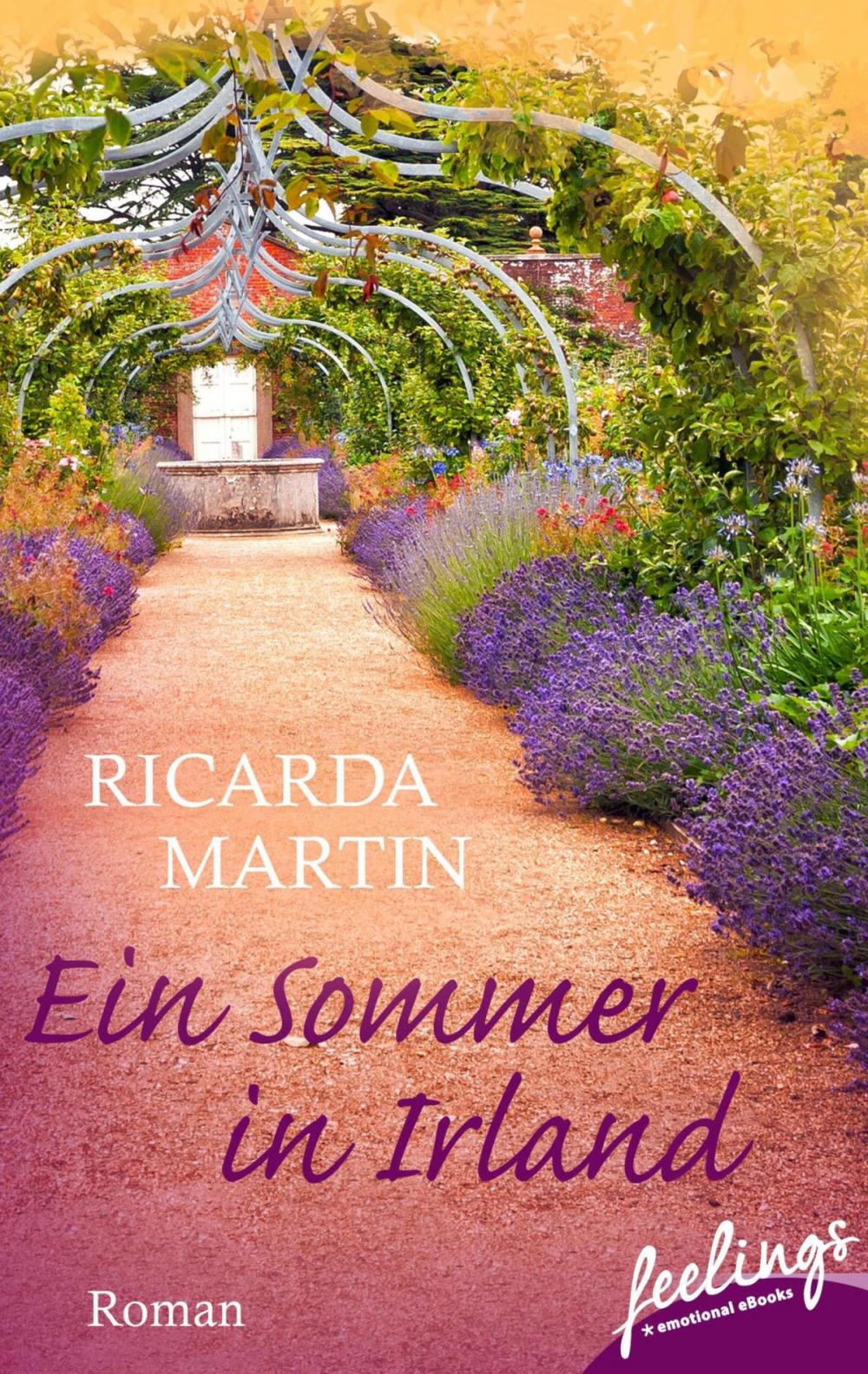 Big bigCover of Ein Sommer in Irland