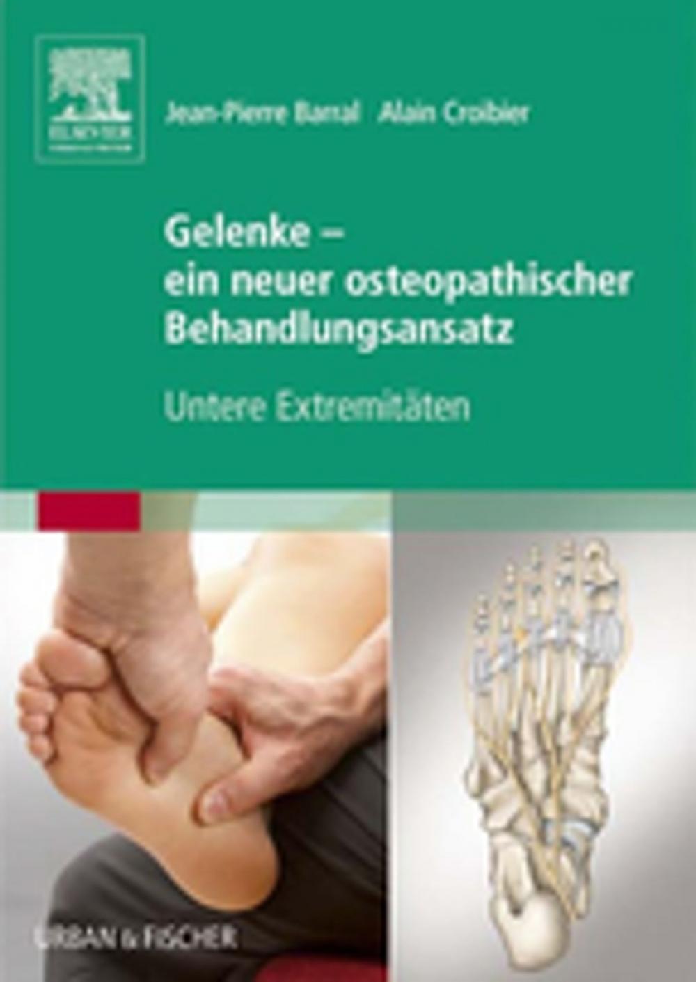 Big bigCover of Gelenke - ein neuer osteopathischer Behandlungsansatz