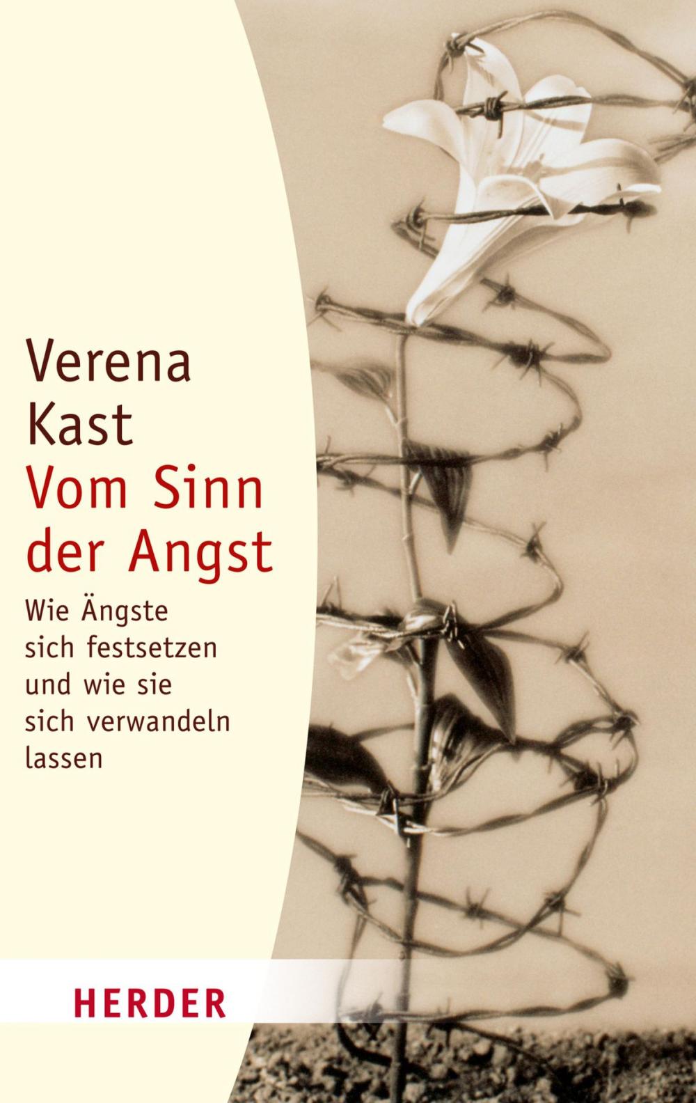 Big bigCover of Vom Sinn der Angst