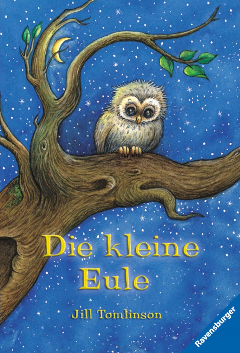 Big bigCover of Die kleine Eule